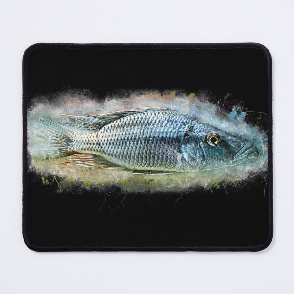 Item preview, Knife cichlid - Dimidiochromis compressiceps designed and sold by AquariumLutter.