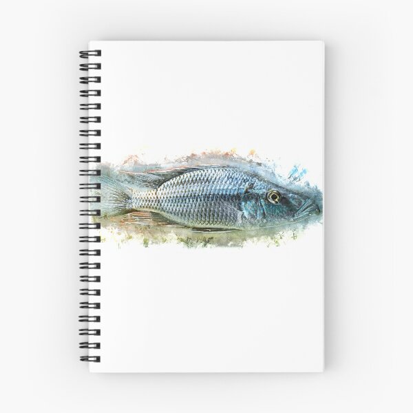 Item preview, Knife cichlid - Dimidiochromis compressiceps designed and sold by AquariumLutter.