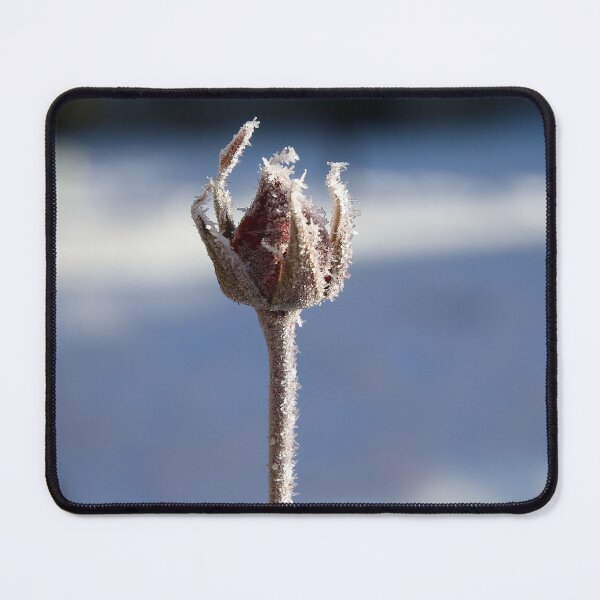 Item preview, The frozen rose designed and sold by Kiran-Fine-Art.