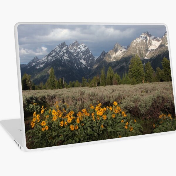 Grand Teton & Mule's Ears Laptop Skin