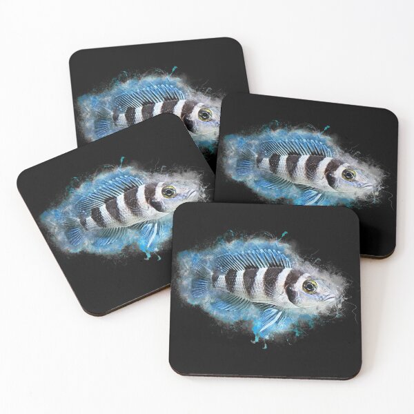 Item preview, Five-lane Tanganyika cichlid - Neolamprologus tretocephalus designed and sold by AquariumLutter.