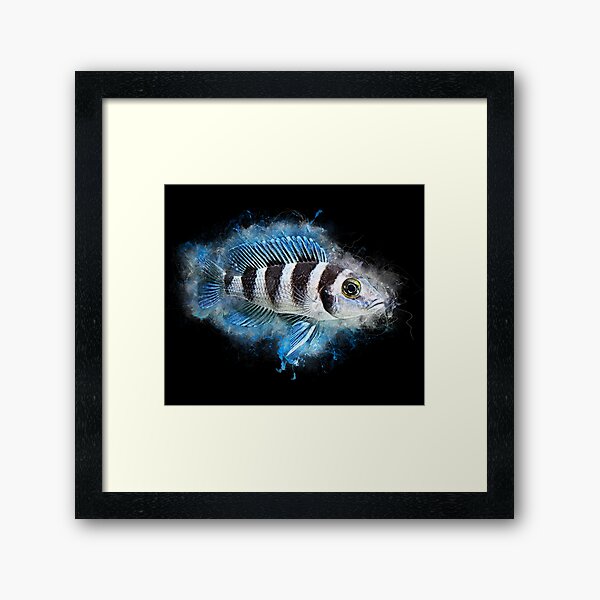 Fish Framed Prints for Sale