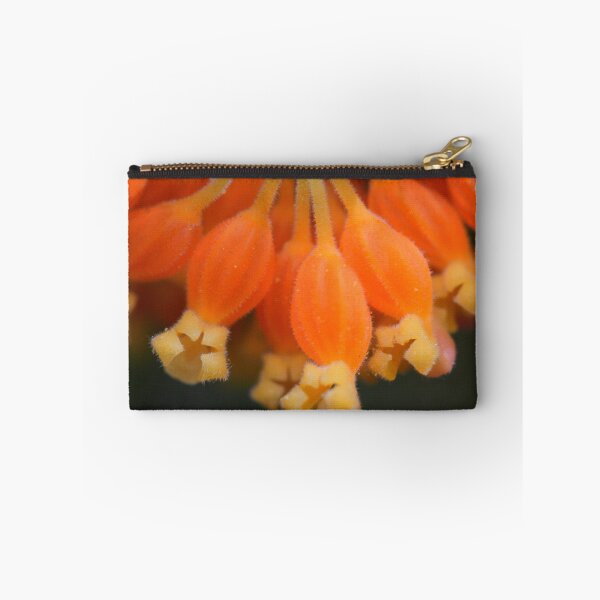 Item preview, Grevillea pimeleoides designed and sold by andrachne.