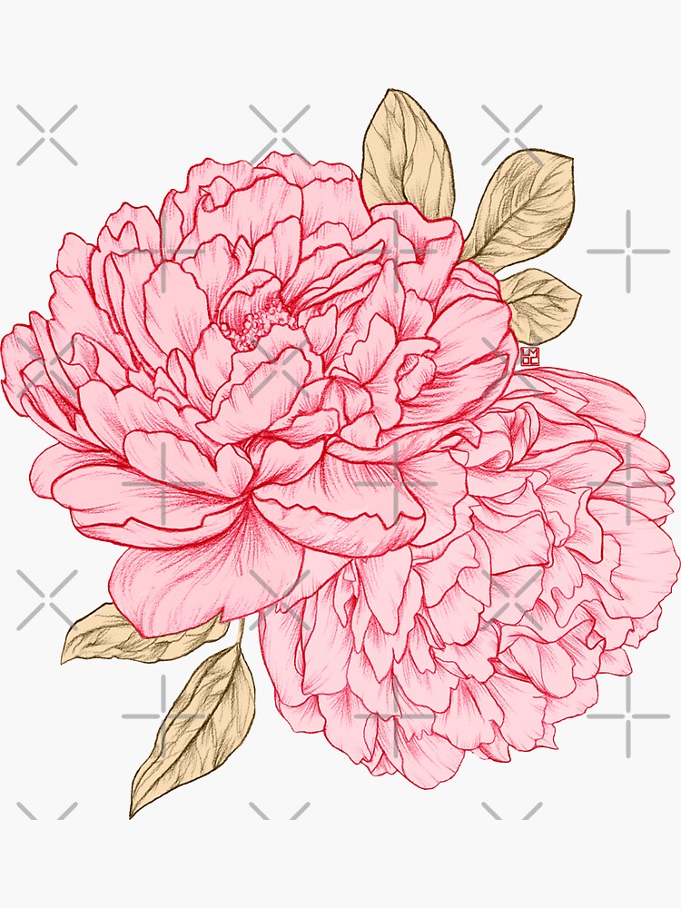 Thumbnail 3 of 3, Sticker, Pink Peonies designed and sold by LauraOConnor.