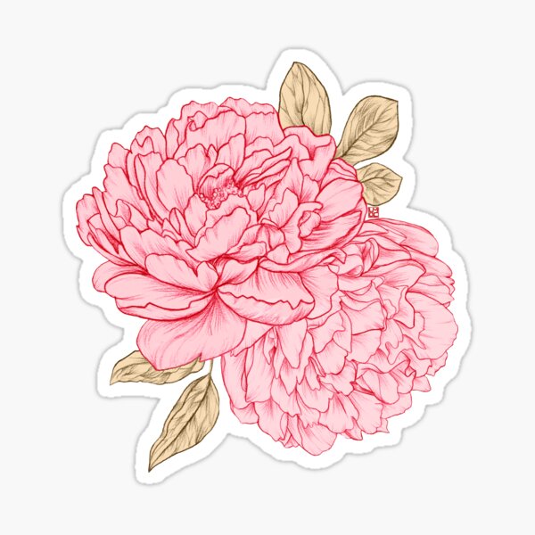 Pink Peonies Sticker for Sale by LauraOConnor