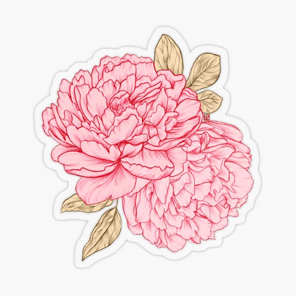 Item preview, Pink Peonies designed and sold by Laura OConnor.