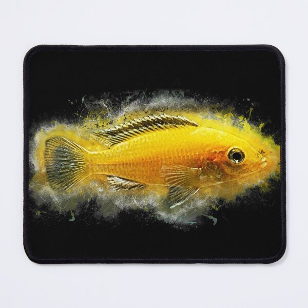 Aperçu de l'œuvre Labidochromis jaune - Labidochromis caeruleus créée et vendue par AquariumLutter.