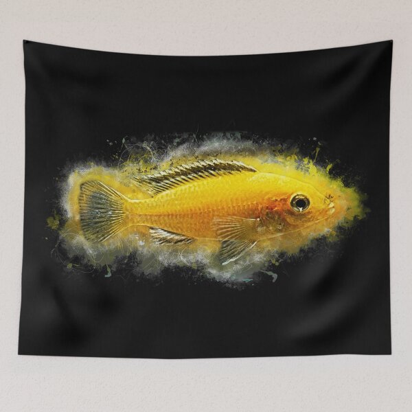 Item preview, Yellow Labidochromis - Labidochromis caeruleus designed and sold by AquariumLutter.