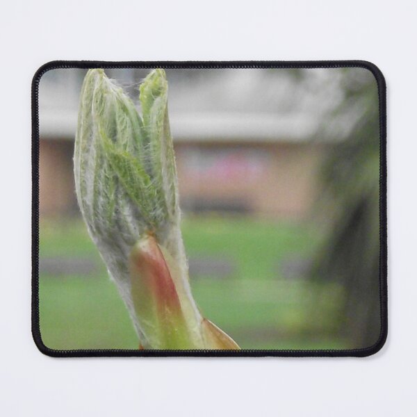 Item preview, New Life designed and sold by BeautonFashions.