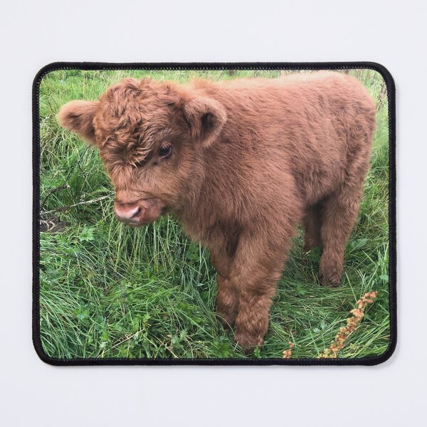 Item preview, Baby calf designed and sold by Xiamon.