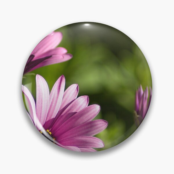 Item preview, Looking the light designed and sold by Kiran-Fine-Art.