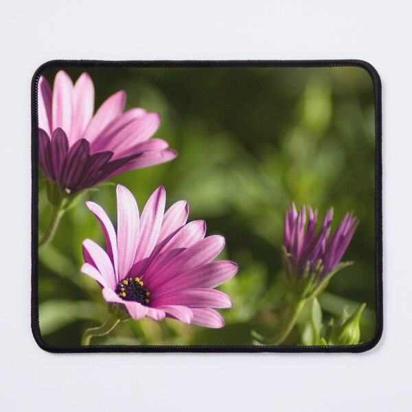 Item preview, Looking the light designed and sold by Kiran-Fine-Art.