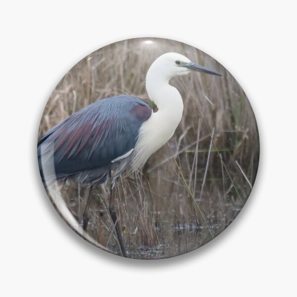 Item preview, White-necked Heron designed and sold by cate38.