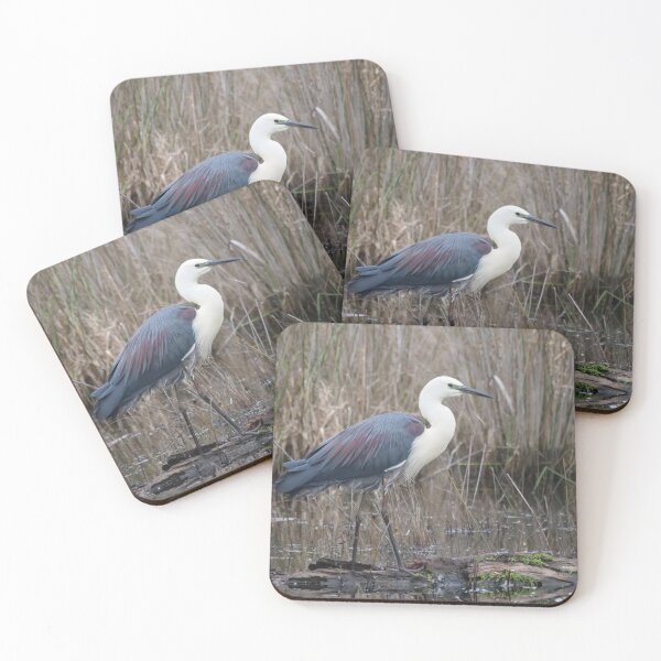 Item preview, White-necked Heron designed and sold by cate38.