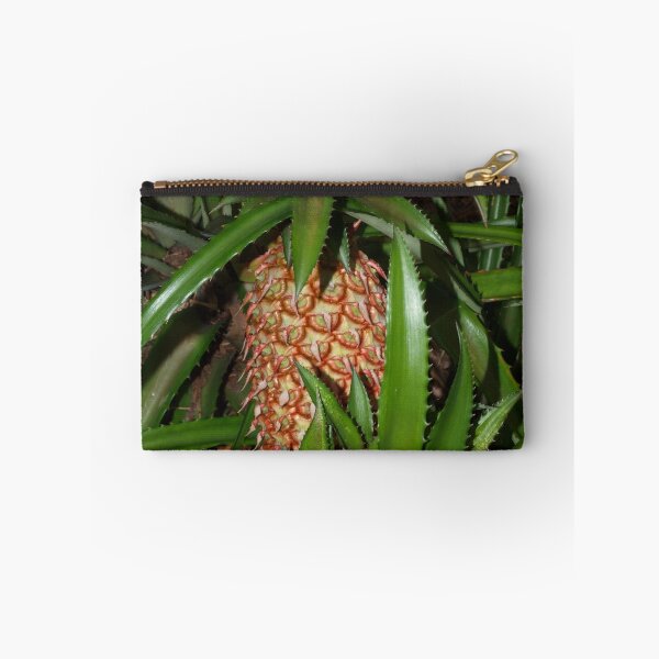 Item preview, A growing pineapple designed and sold by B. Randi Bailey.