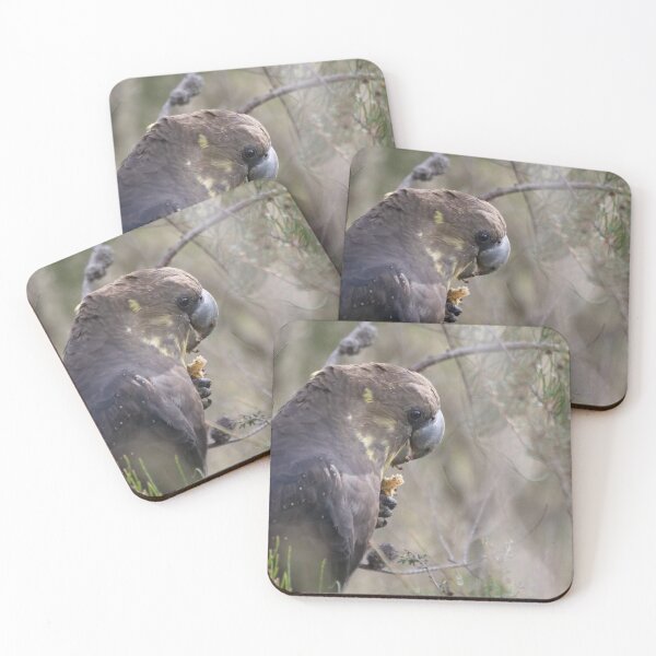 Item preview, Glossy Black Cockatoo designed and sold by cate38.