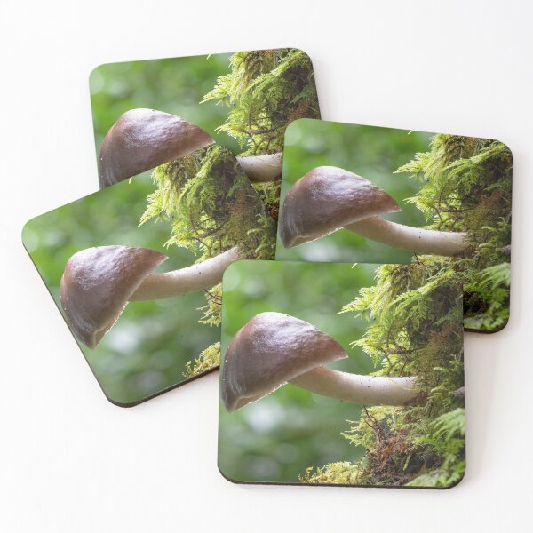 Item preview, Brown Sideways Mushroom designed and sold by Ireland Photography.
