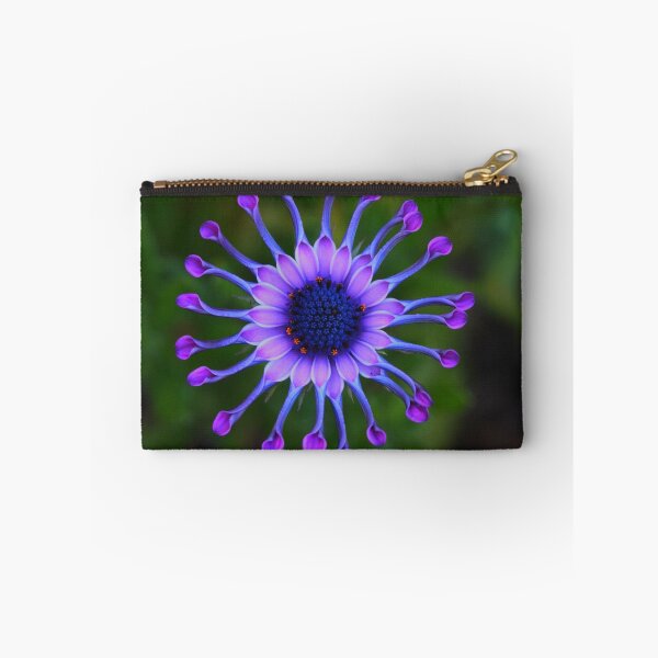 Item preview, Osteospermum Whirligig designed and sold by andrachne.
