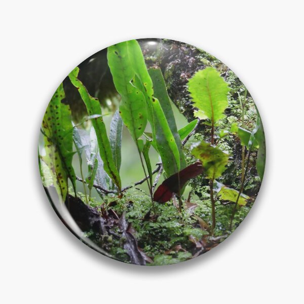 Item preview, Fern Garden designed and sold by cate38.