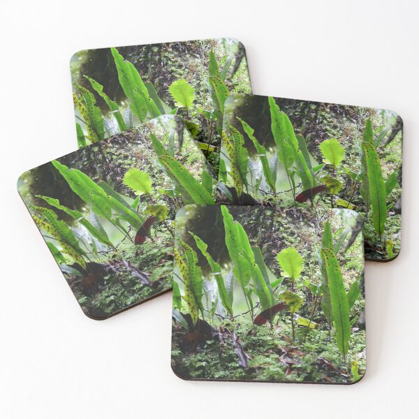 Item preview, Fern Garden designed and sold by cate38.