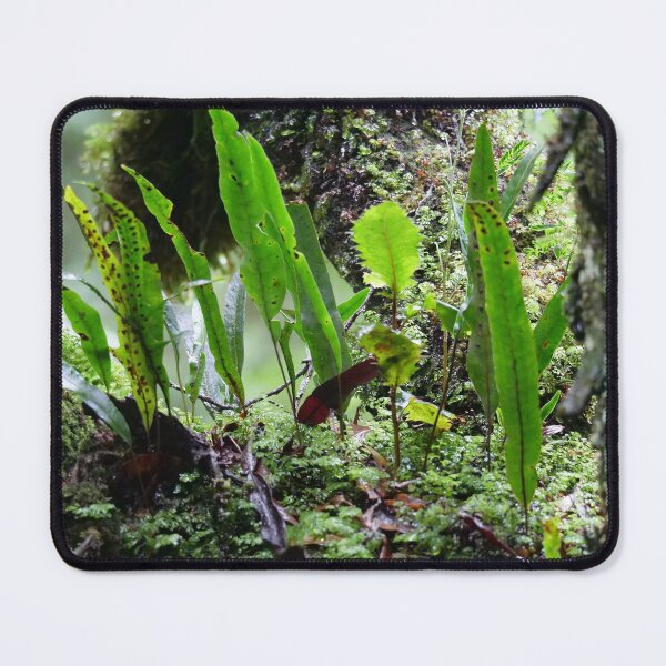 Item preview, Fern Garden designed and sold by cate38.