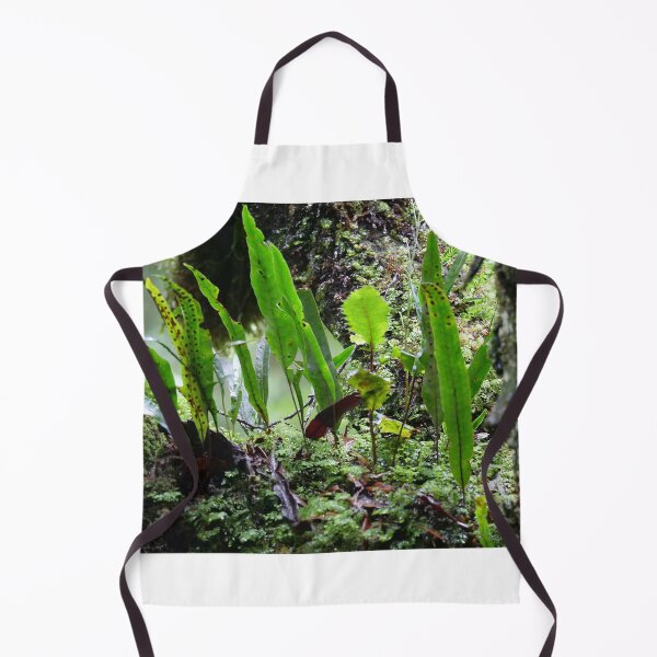 Item preview, Fern Garden designed and sold by cate38.