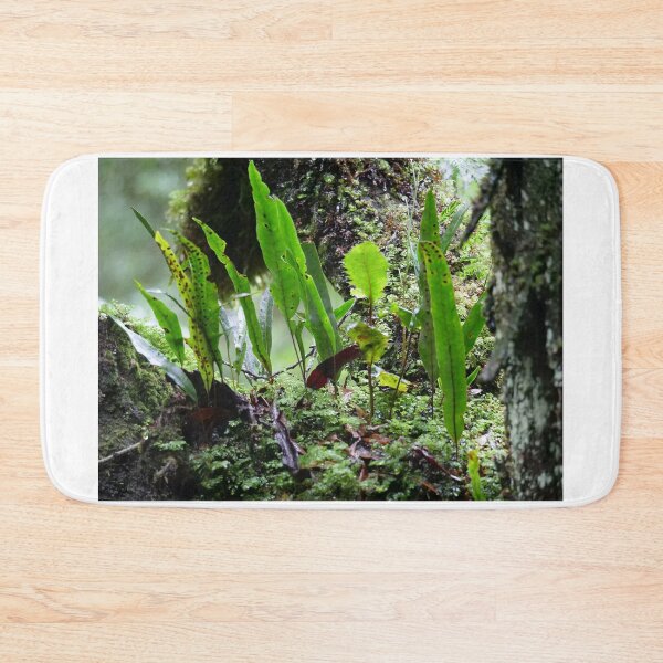 Item preview, Fern Garden designed and sold by cate38.