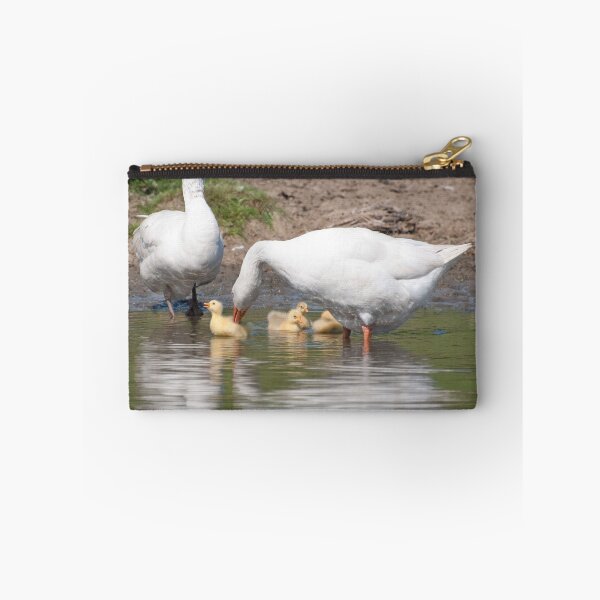 Item preview, Greenhill Goslings designed and sold by Ann Miller.