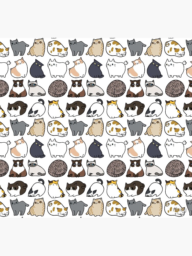 Cats Cats Cats by ninay