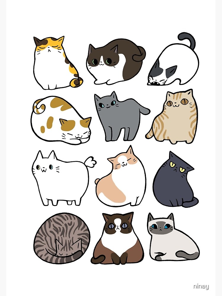 Cats Cats Cats by ninay