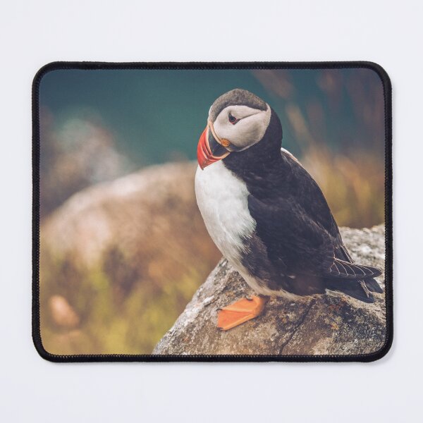 Item preview, Puffin in Runde Island Norway designed and sold by Konstantin Kowarsch.