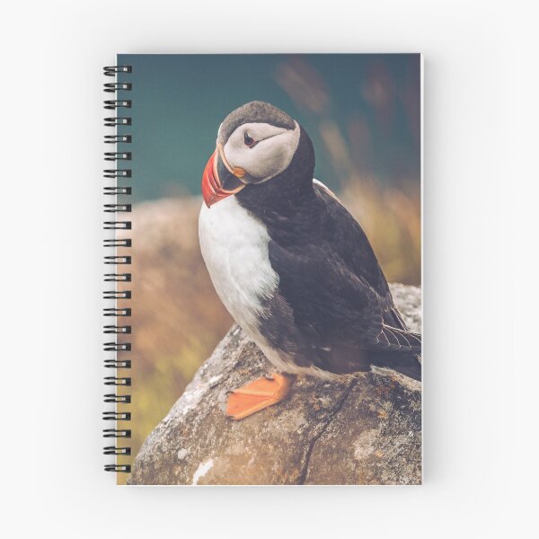 Item preview, Puffin in Runde Island Norway designed and sold by Konstantin Kowarsch.