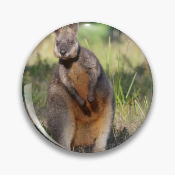 Item preview, Swamp Wallaby designed and sold by cate38.