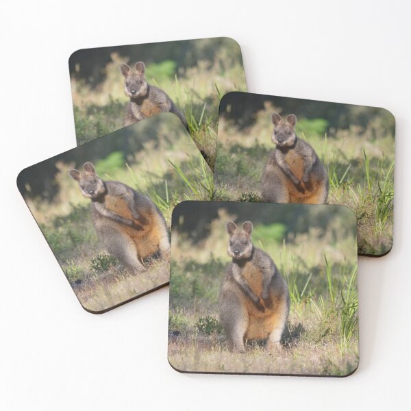 Item preview, Swamp Wallaby designed and sold by cate38.