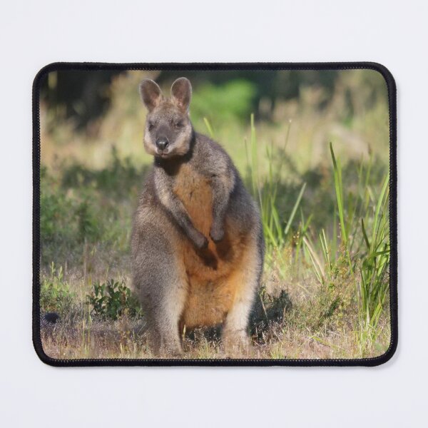 Item preview, Swamp Wallaby designed and sold by cate38.