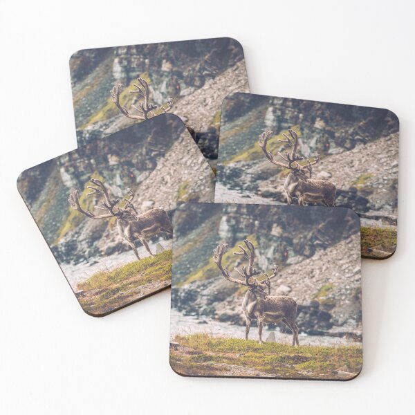 Artikelvorschau, Reindeer at Norwegian Coast entworfen und verkauft von Konstantin Kowarsch.