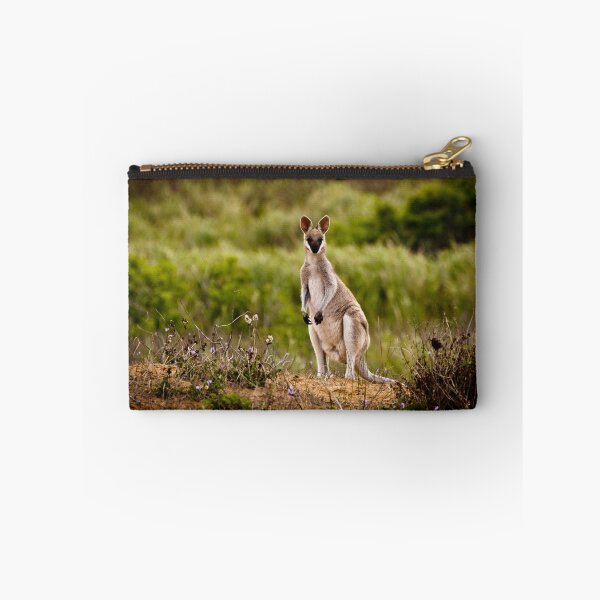 Item preview, Whiptail Wallaby - Central Queensland designed and sold by John Quixley.