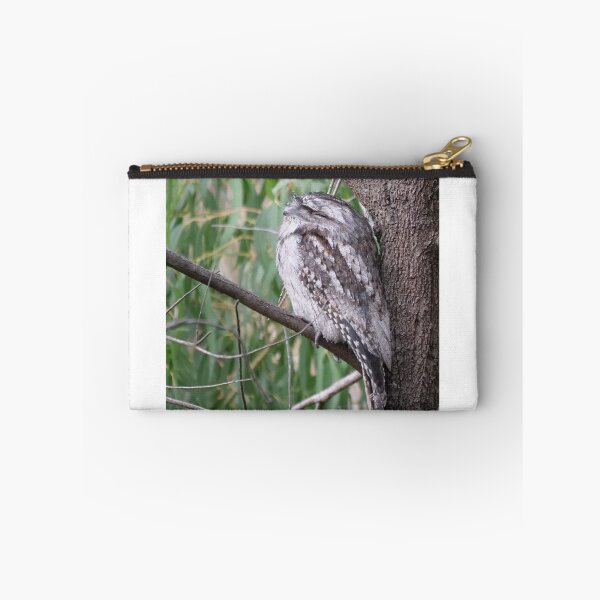 Item preview, Tawny Frogmouth Nap Time designed and sold by cate38.