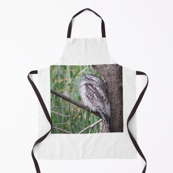 Item preview, Tawny Frogmouth Nap Time designed and sold by cate38.