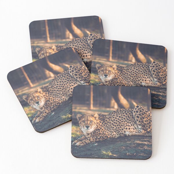 Item preview, A Cheetah in the wilderness designed and sold by Konstantin Kowarsch.