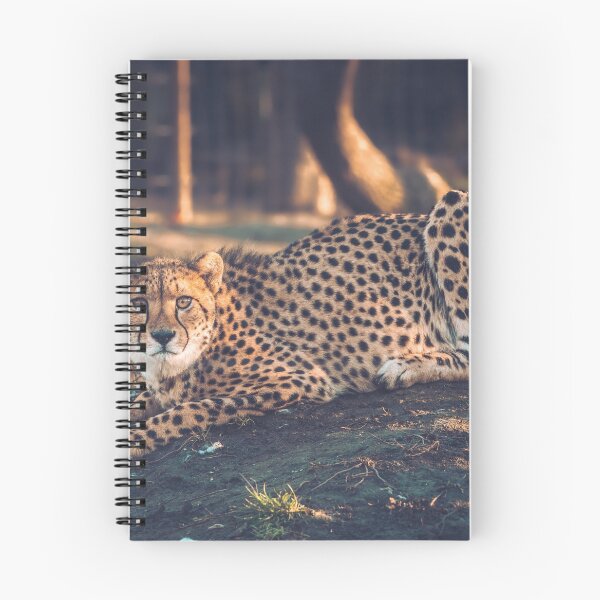 Artikelvorschau, A Cheetah in the wilderness entworfen und verkauft von Konstantin Kowarsch.