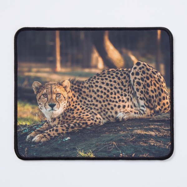 Item preview, A Cheetah in the wilderness designed and sold by Konstantin Kowarsch.