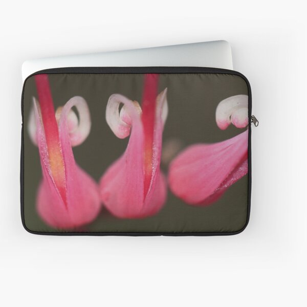 Grevillea hirtella Laptop Sleeve