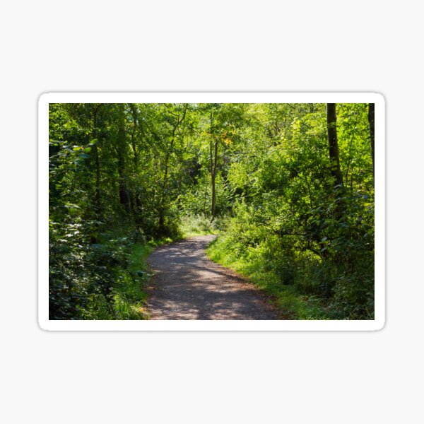 Pathway Through The Woods Sticker