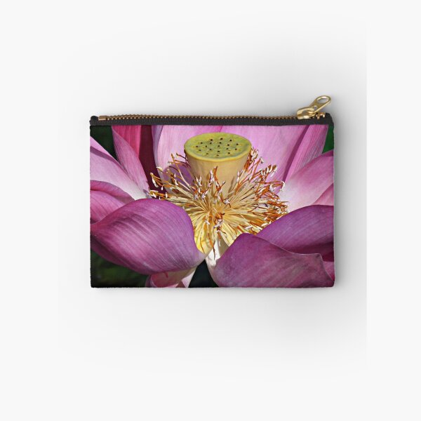 Item preview, Close Lotus designed and sold by PixPlanet.