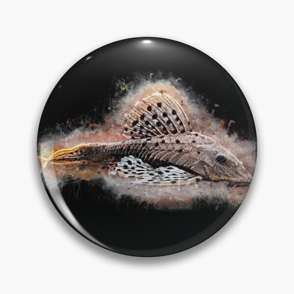 Item preview, L 095 Redbeard Pine Cone Catfish - Pseudorinelepis sp. designed and sold by AquariumLutter.