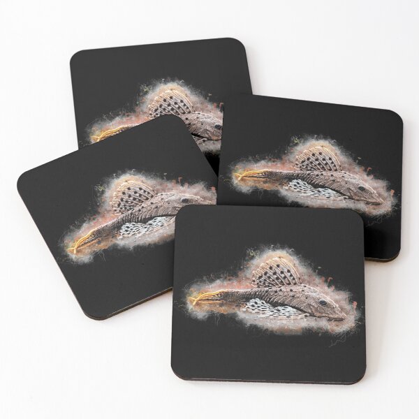 Item preview, L 095 Redbeard Pine Cone Catfish - Pseudorinelepis sp. designed and sold by AquariumLutter.