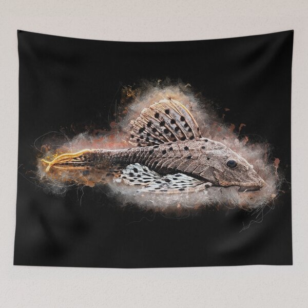 Item preview, L 095 Redbeard Pine Cone Catfish - Pseudorinelepis sp. designed and sold by AquariumLutter.