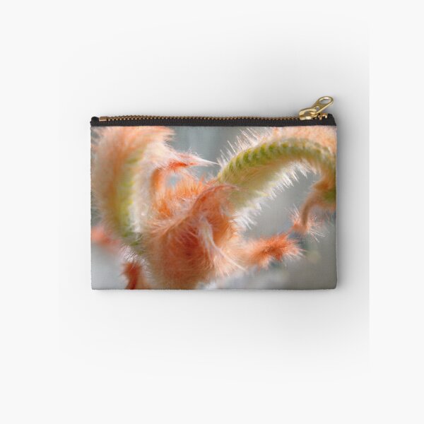 Item preview, Banksia victoriae designed and sold by andrachne.