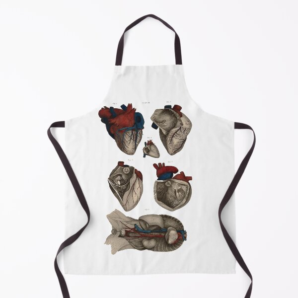 Item preview, Macabre Aesthetics: Anatomical figures of the heart designed and sold by Naturalist Prints.
